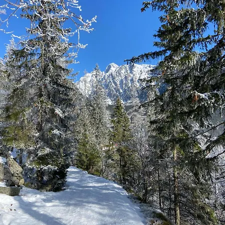 Διαμέρισμα Priamo Na Namesti V Poprade *
