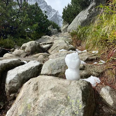 Priamo Na Namesti V Poprade *